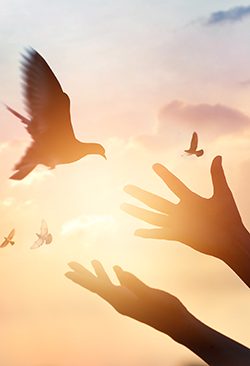 사회복지법인 마곡