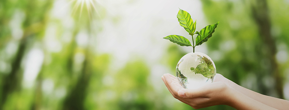 사회복지법인 마곡